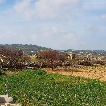 Auberge De Provence Pensionat Siggiewi Exteriör bild