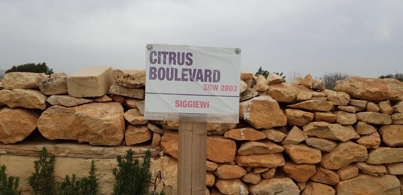 Auberge De Provence Pensionat Siggiewi Exteriör bild
