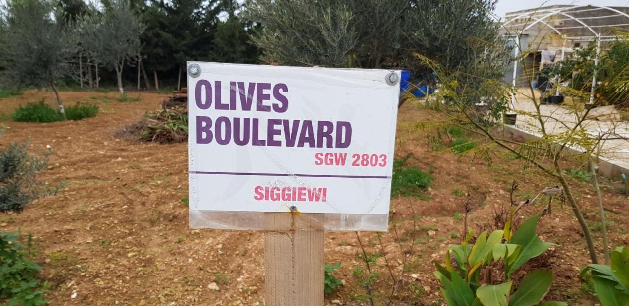 Auberge De Provence Pensionat Siggiewi Exteriör bild